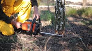 Landscape Design and Installation in Prattville, AL